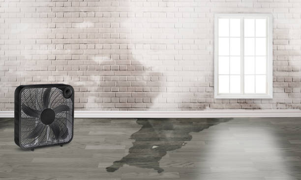 Best Emergency water damage restoration  in Sunbury, PA
