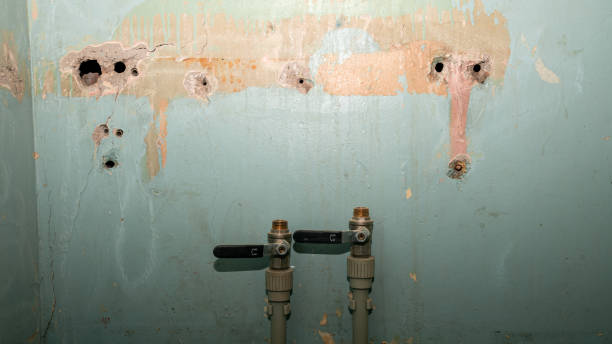 Best Water damage restoration near me  in Sunbury, PA