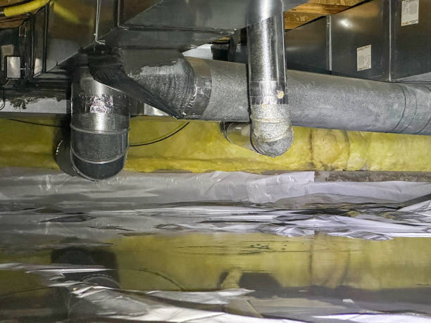 Best Carpet water damage restoration  in Sunbury, PA