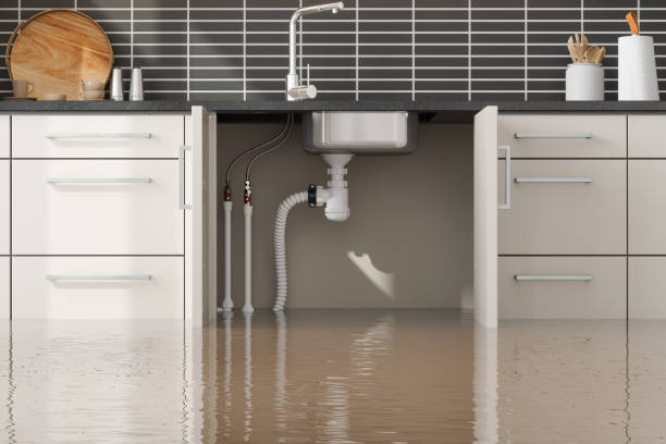 Best Water damage restoration near me  in Sunbury, PA