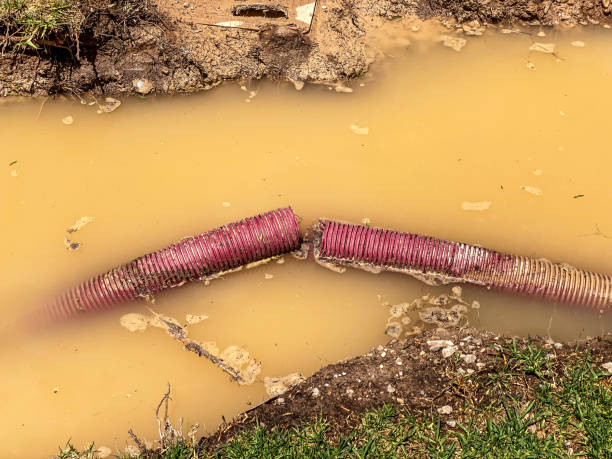 Best Water damage restoration near me  in Sunbury, PA