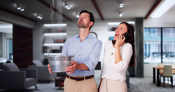 Best Flood damage cleanup  in Sunbury, PA
